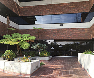 Head Office (California)